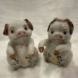 Vintage Ceramic Pig Salt Pepper Shaker Set Floral Cottagecore Piglets
